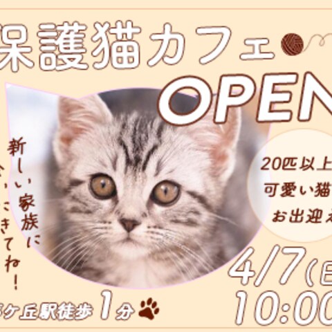 保護猫カフェオープン告知バナー