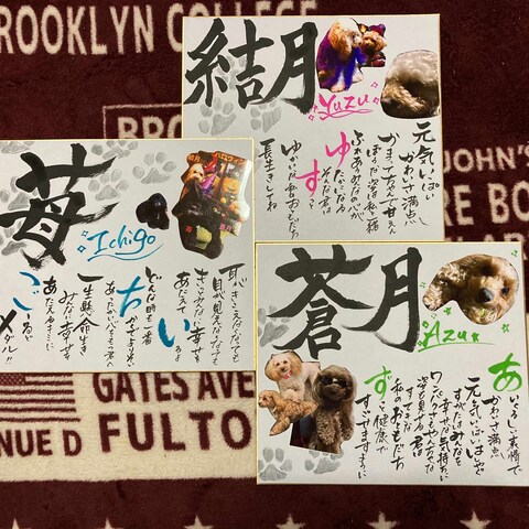 愛犬に贈るメッセージ