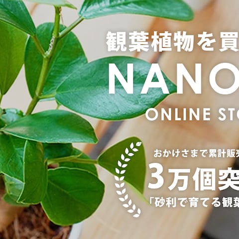 観葉植物オンラインストア｜HPトップデザイン