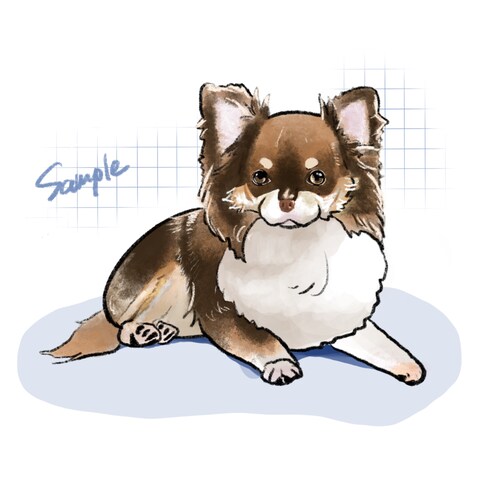 チワワSAMPLE