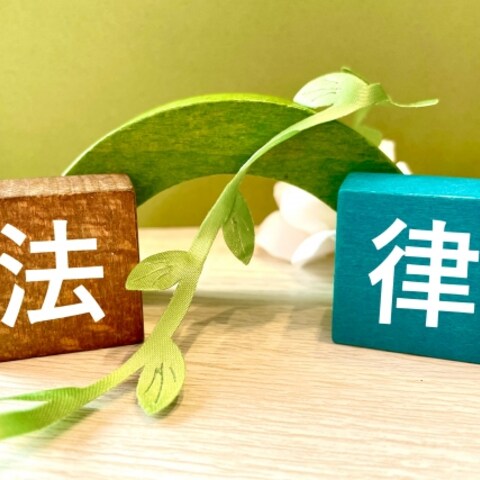 基本的人権、法令の効力などについて