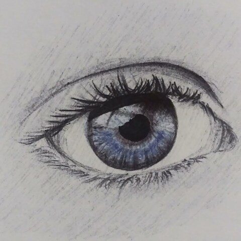 ボールペン画