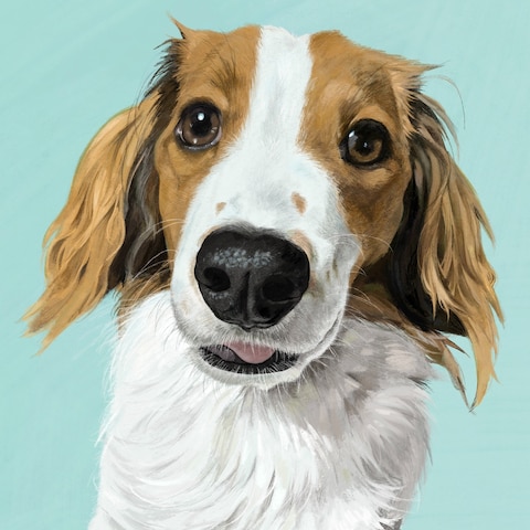 愛犬の似顔絵