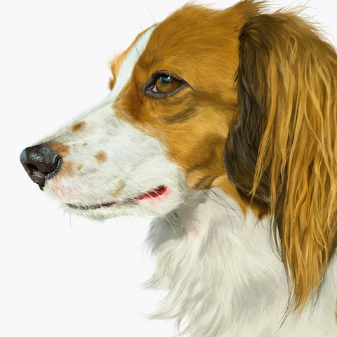 愛犬の似顔絵