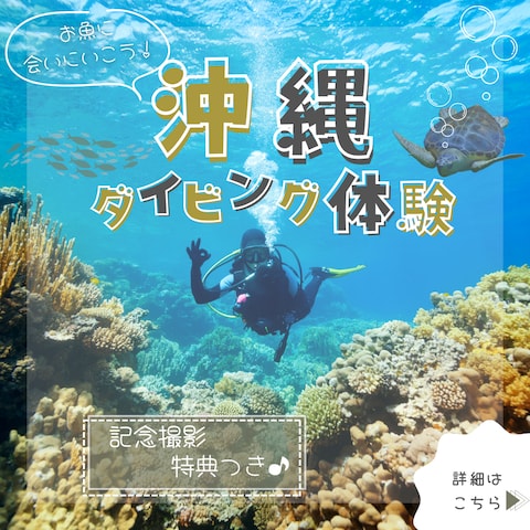 沖縄体験ダイビング