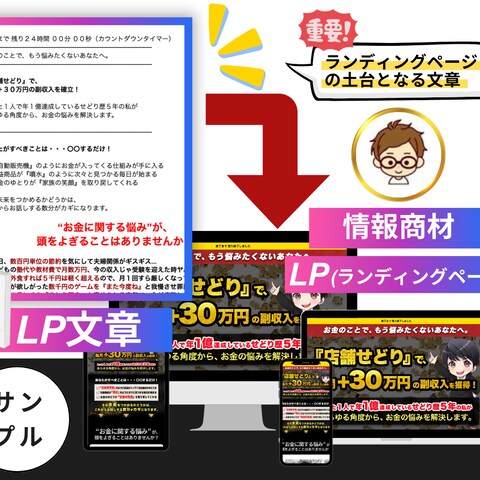LP文章作成およびLP制作サンプル【店舗せどり】