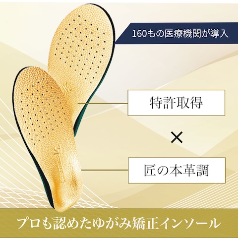 制作実績 インソールバナー
