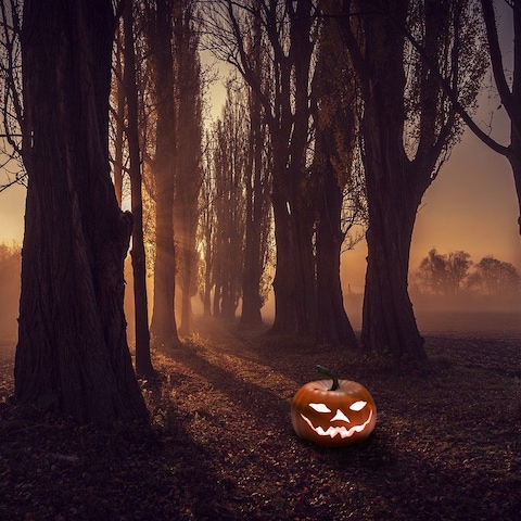 Halloween Pumpkin1