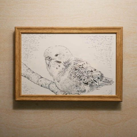 【インコ】ペットの似顔絵オーダー