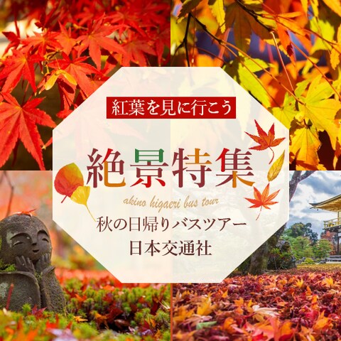 絶景特集