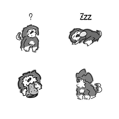 ペットイラスト