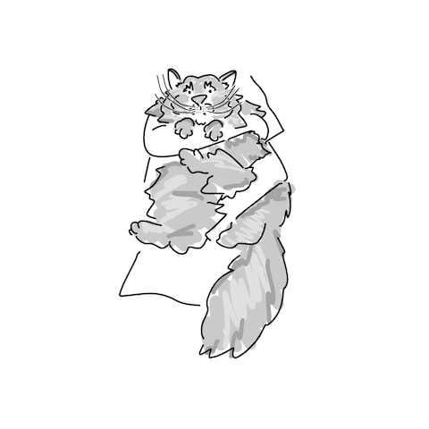 ペットイラスト（猫）