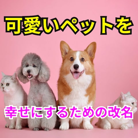 ペットと飼い主が幸運になる姓名判断＆命名致します