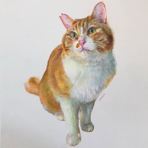 猫ちゃんの手描き肖像画