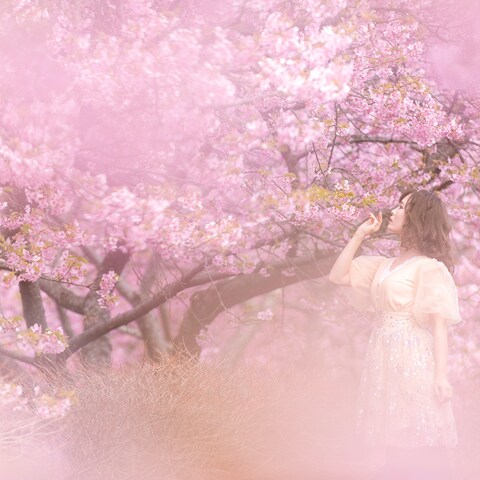 桜と共に撮影する方法