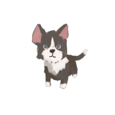ペットアイコンイメージ