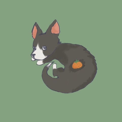 ペットイラストイメージ