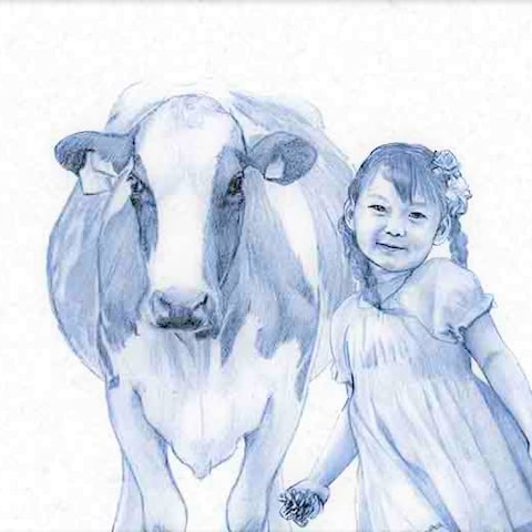 牛と女の子