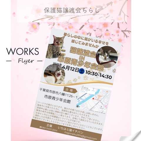 猫譲渡会in市原青少年会館
