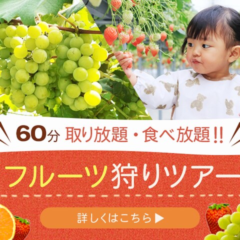 ツアー バナー