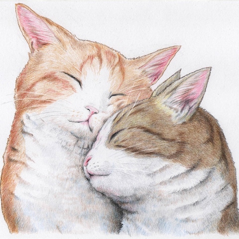仲良しにゃんこ　色鉛筆画