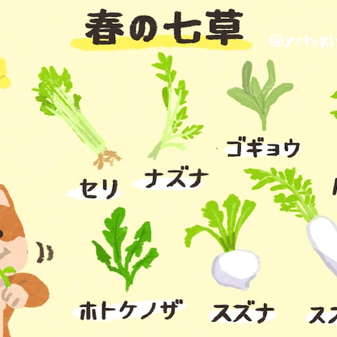 春の七草一覧
