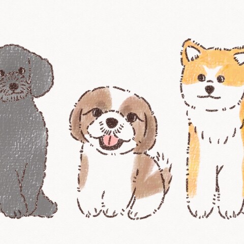 ペット似顔絵