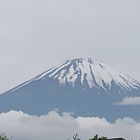 富士山の麓からお届けしています