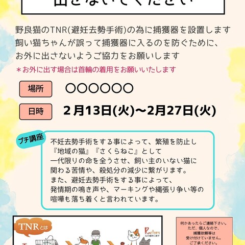 チラシ作成