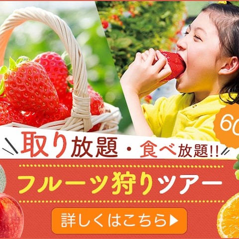 旅行系バナー