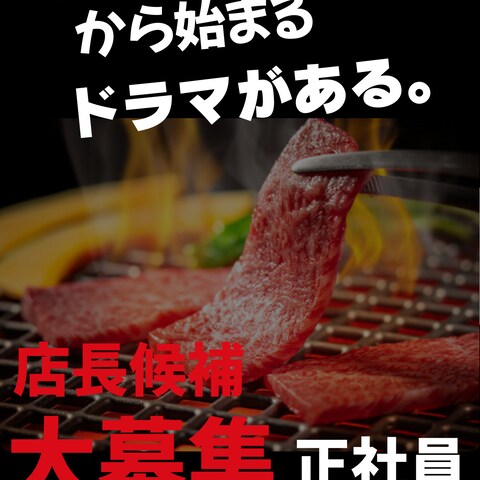 飲食店採用募集