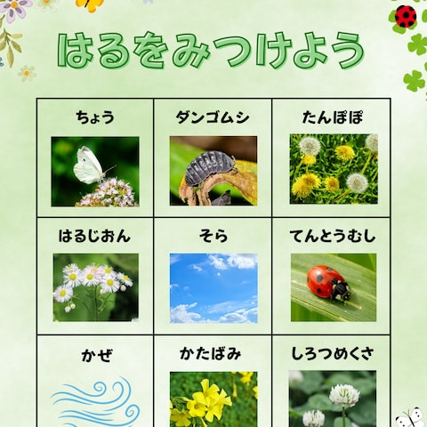 フィールドビンゴ