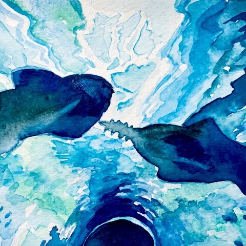 水族館