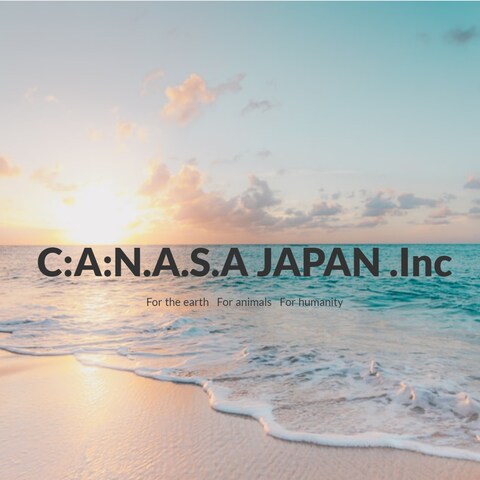 C:A:N.A.S.A. JAPAN 株式会社