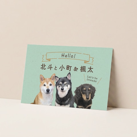 うちの子名刺（多頭さん向け）セミオーダー