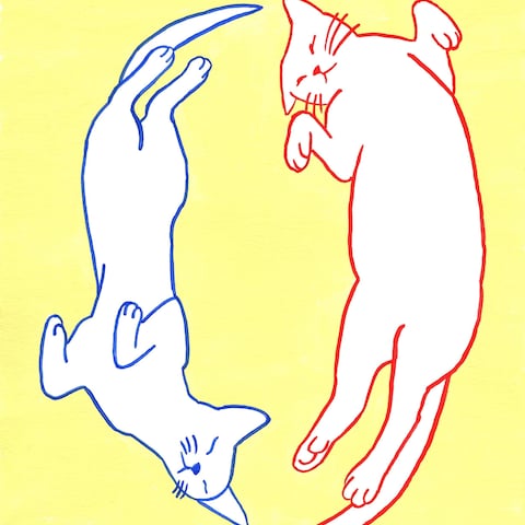 うちのねこ