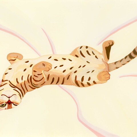 My cat Ten, Any ofuton will do