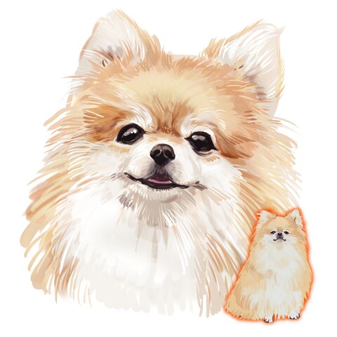 お友達の犬です。