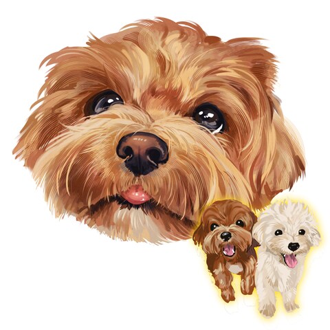 相互さんの犬です。