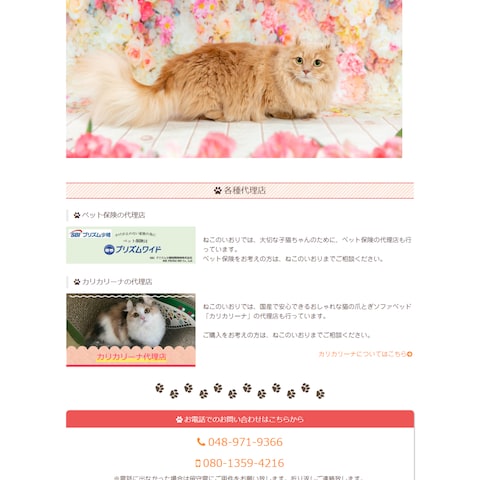猫ちゃんショップ・ブリーダーのホームページ・WEBサイト