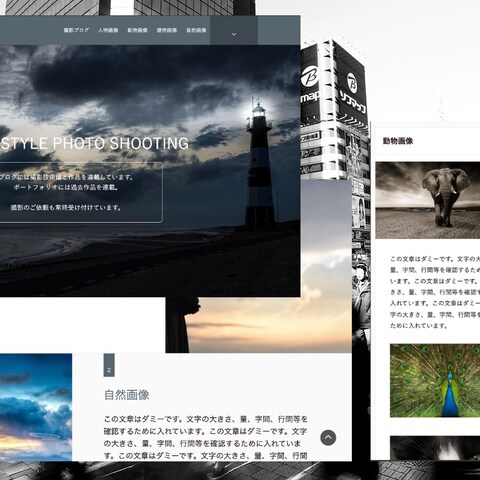 写真家ポートフォリオ