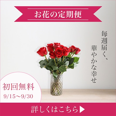 【バナー】お花の定期便 Instagram用