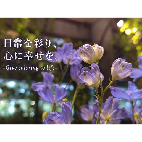 【カメラ×バナー】お花
