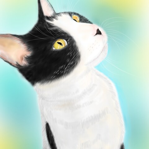 大切なペットの似顔絵をお描きします！！
