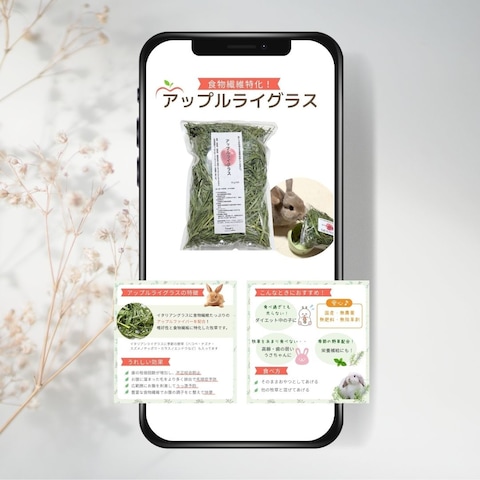 うさぎごはん商品画像