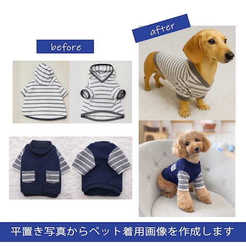 ペット着用画像①