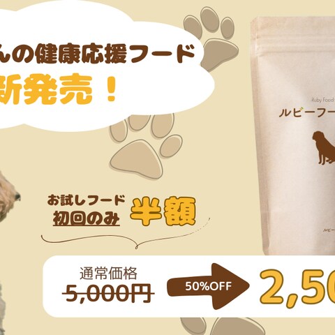 HerTech 応用課題