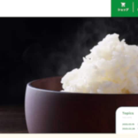公的なホームページのCSSやカスタムフィールドの修正しました