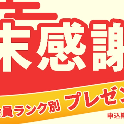通販サイト年末感謝祭バナー