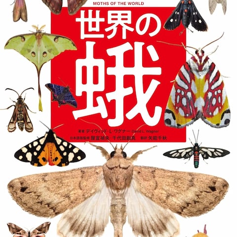翻訳